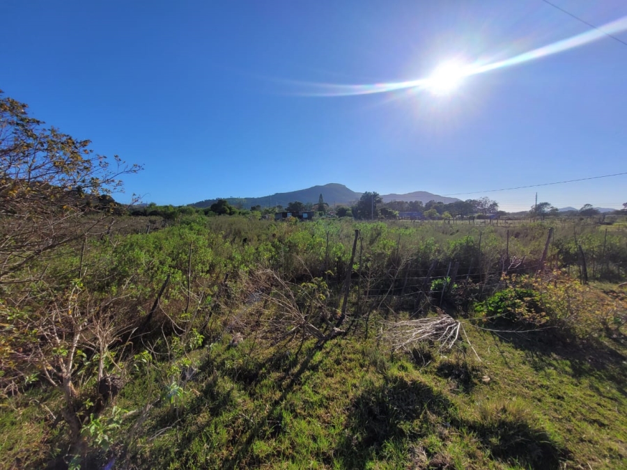 0 Bedroom Property for Sale in Kruisfontein Eastern Cape